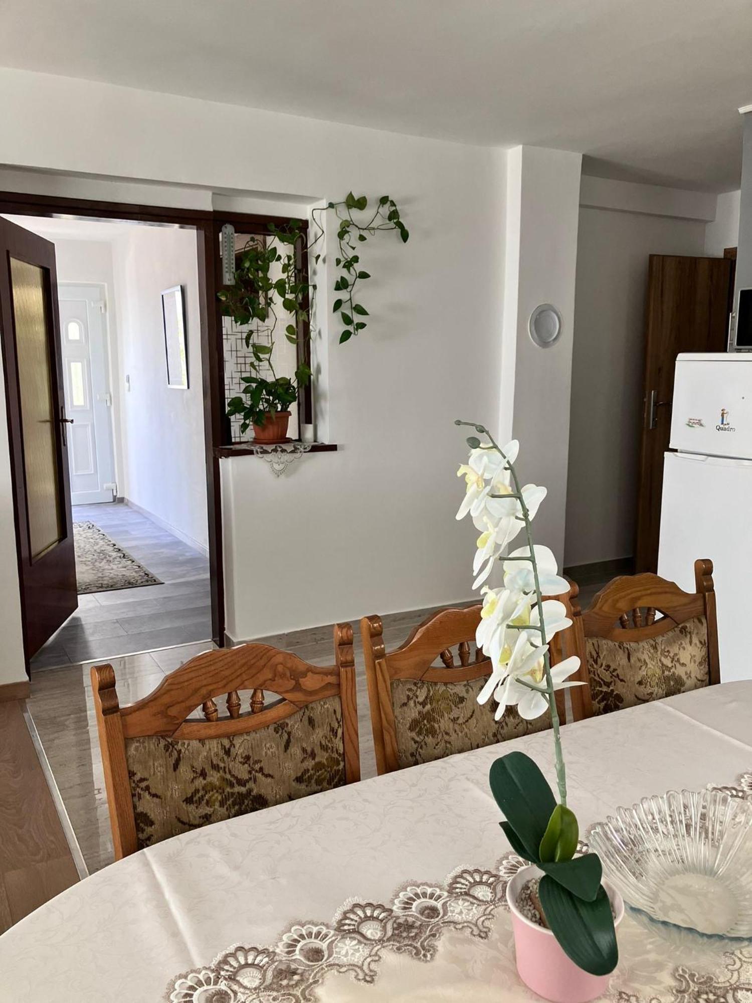 Ferienwohnung App Martina Dramalj Exterior foto